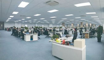 新大洲本田 厚積薄發(fā),逆勢方見功底