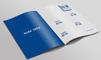 給公司新發(fā)的產(chǎn)品做得一款畫冊,整體藍(lán)色風(fēng)格,偏清爽
